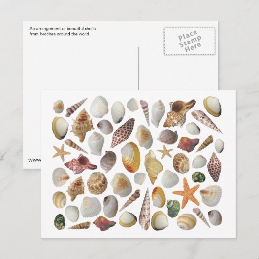 De Shell Collector Post Card Briefkaart (Voorkant / Achterkant)