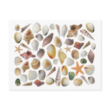 De Shell Collector Post Card