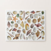 De Shell Collector Puzzle Legpuzzel (Horizontaal)