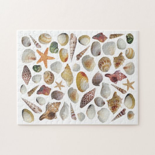 De Shell Collector Puzzle Legpuzzel (Horizontaal)