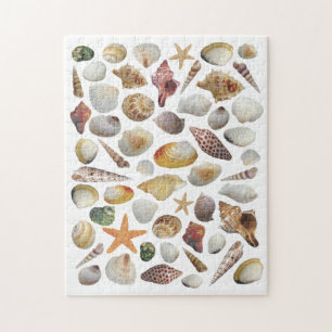De Shell Collector Puzzle Legpuzzel