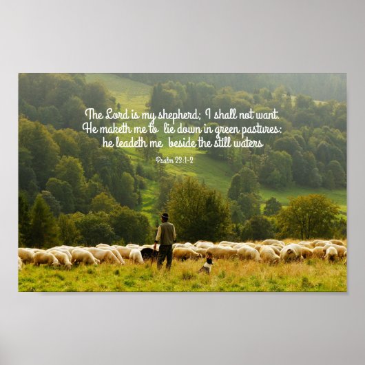 De Shepherd en zijn Sheep Psalm 23 Poster (Voorkant)