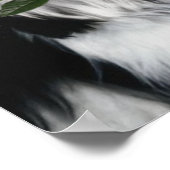 De Shih Tzu Dog Poster (Hoek)