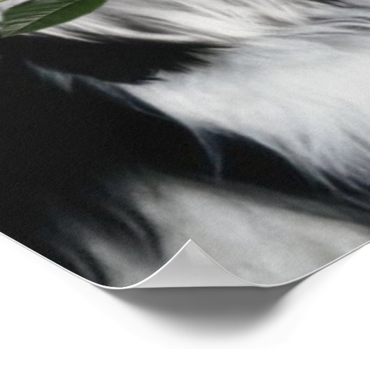 De Shih Tzu Dog Poster (Hoek)