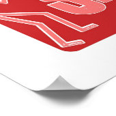 De Shows van Saint TV Poster (Hoek)