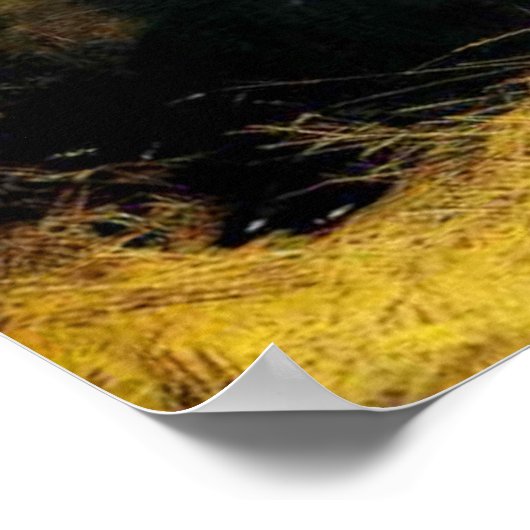 De Shrew Tamed Poster (Hoek)