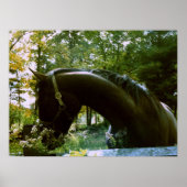 De Shy Horse Poster (Voorkant)