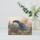 De Siamese fazant van Joseph Wolf Briefkaart (Staand voorkant)