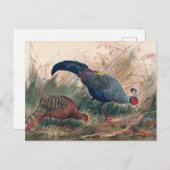 De Siamese fazant van Joseph Wolf Briefkaart (Voorkant / Achterkant)