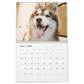 De Siberische Husky Kalender (Mar 2026)