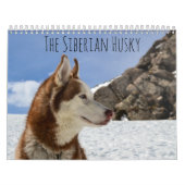 De Siberische Husky Kalender (Hoes)