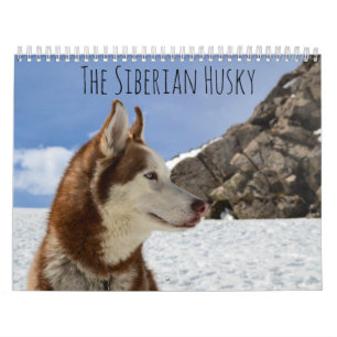 De Siberische Husky Kalender