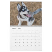 De Siberische Husky Kalender (Jan 2026)