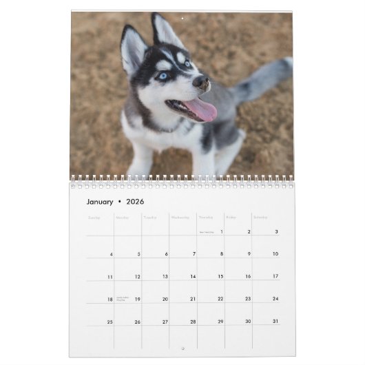 De Siberische Husky Kalender (Jan 2026)