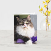 De Siberische Kaart van de Nota van de Kat (Gele Bloem)