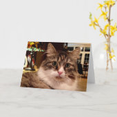 De Siberische Kaart van de Nota van de Kat (Gele Bloem)