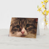 De Siberische Kaart van de Nota van de Kat Dichte (Gele Bloem)