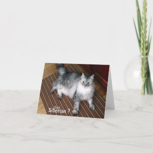 De Siberische Kaart van de Nota van de Kat Lege