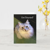 De Siberische Kaarten van de Nota van de Kat (Gele Bloem)