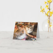 De Siberische Kaarten van de Nota van Schoonheden (Gele Bloem)