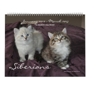 De Siberische Katjes van Katten de Kalender van