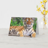 De Siberische Lege Kaart van de Tijger (Gele Bloem)