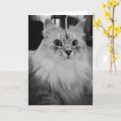 De Siberische Magische Kaarten van de Nota (Gele Bloem)