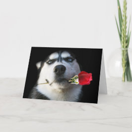 De Siberische Schor Kaart van de Valentijnsdag