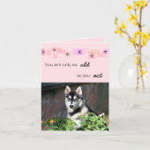 De Siberische Schor Kaart van de Verjaardag (Gele Bloem)