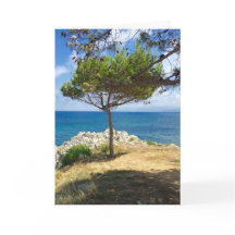 De Siciliaanse Boom