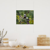 De Sifaka van Coquerel in het bos Poster (Keuken)