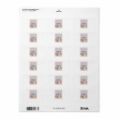 De Signature Whimsy (Roze & Turkoois) Etiket (Full Sheet)