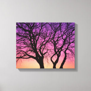 De Silhouettes van de boom in Zonneset - de Druk v Canvas Afdruk