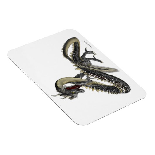 De Silver Dragon Magneet (Rechterzijde)