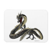 De Silver Dragon Magneet (Horizontaal)