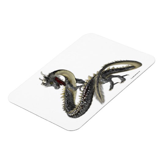 De Silver Dragon Magneet (Linkerzijde)