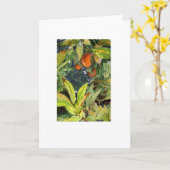 De sinaasappels op het boompotlood verbeterden kaart (Gele Bloem)