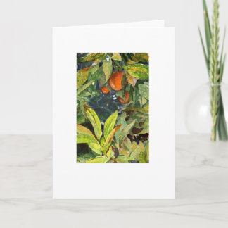 De sinaasappels op het boompotlood verbeterden kaart