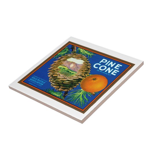 De Sinaasappels van de denneappel Tegeltje (Zijkant)