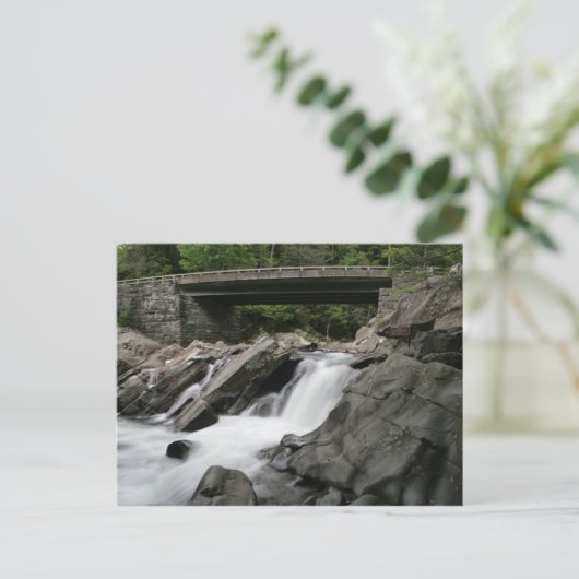 De sinks briefkaart (Staand voorkant)