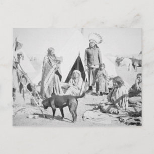 De Sioux Reserve bij de Rand van de Pijnboom, Briefkaart