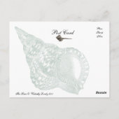 De sirene briefkaart (Achterkant)