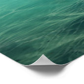 De sirene en de schildpad poster (Hoek)