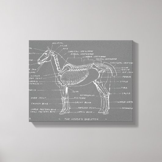 DE SITUATIE VAN DE HORSE CANVAS AFDRUK (Voorkant)