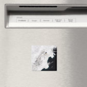 De sjiitische vulkaan in Kamchatka Krai, Rusland Magneet (Insitu (Vaatwasser))