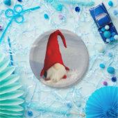 De Skandinavische Gnoom van Kerstmis Papieren Bordje (Feest)