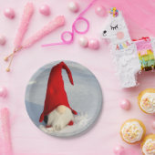 De Skandinavische Gnoom van Kerstmis Papieren Bordje (Feest)