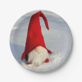 De Skandinavische Gnoom van Kerstmis Papieren Bordje (Voorkant)