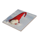De Skandinavische Gnoom van Kerstmis Tegeltje (Zijkant)
