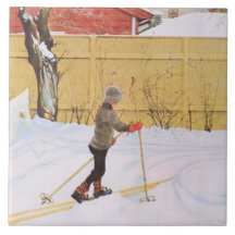 De skier (jonge jongen met huid) (winterscène)